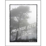 A cover of the devotional titled Prayer Bits with a sub-title of Small Bits but Big Truths on Prayer. It has a background image of trees.