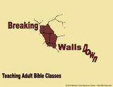 Breaking Walls Down Teacher Training Session