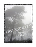 Prayer Bits Devotional